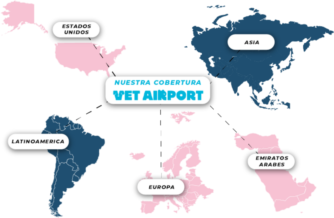 Complete international pet transport process health certificates VetAirport IPATA certified