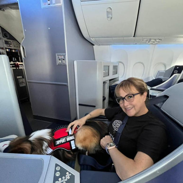 Service Dog Certification