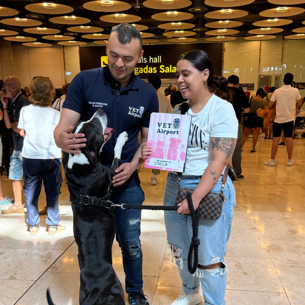 International Pet Transportation