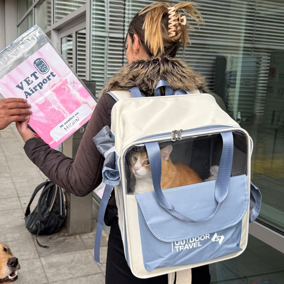 Complete international pet transport process health certificates VetAirport IPATA certified