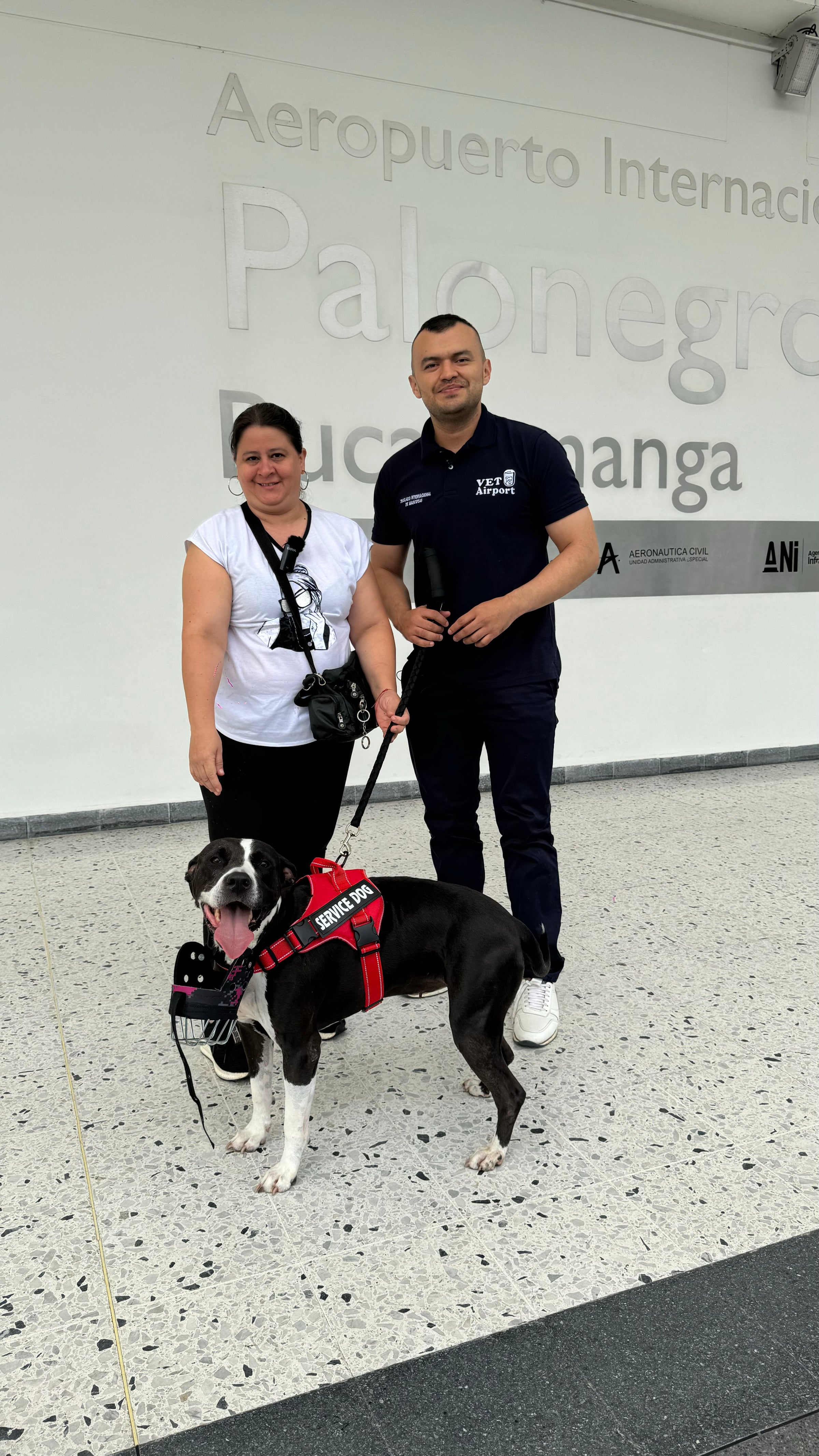 VetAirport IPATA certified international pet relocation services door-to-door transport