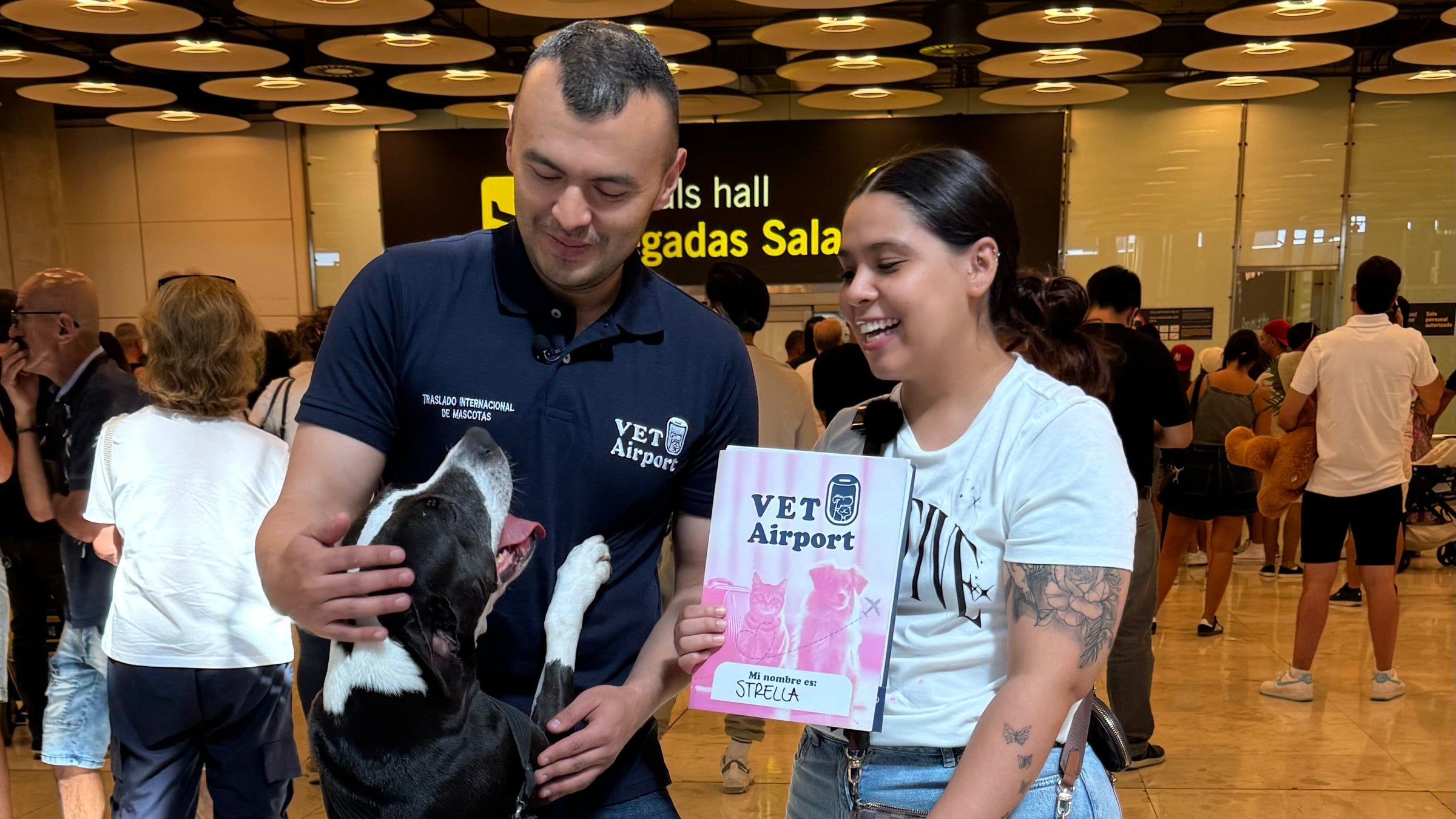 VetAirport IPATA certified international pet relocation services door-to-door transport