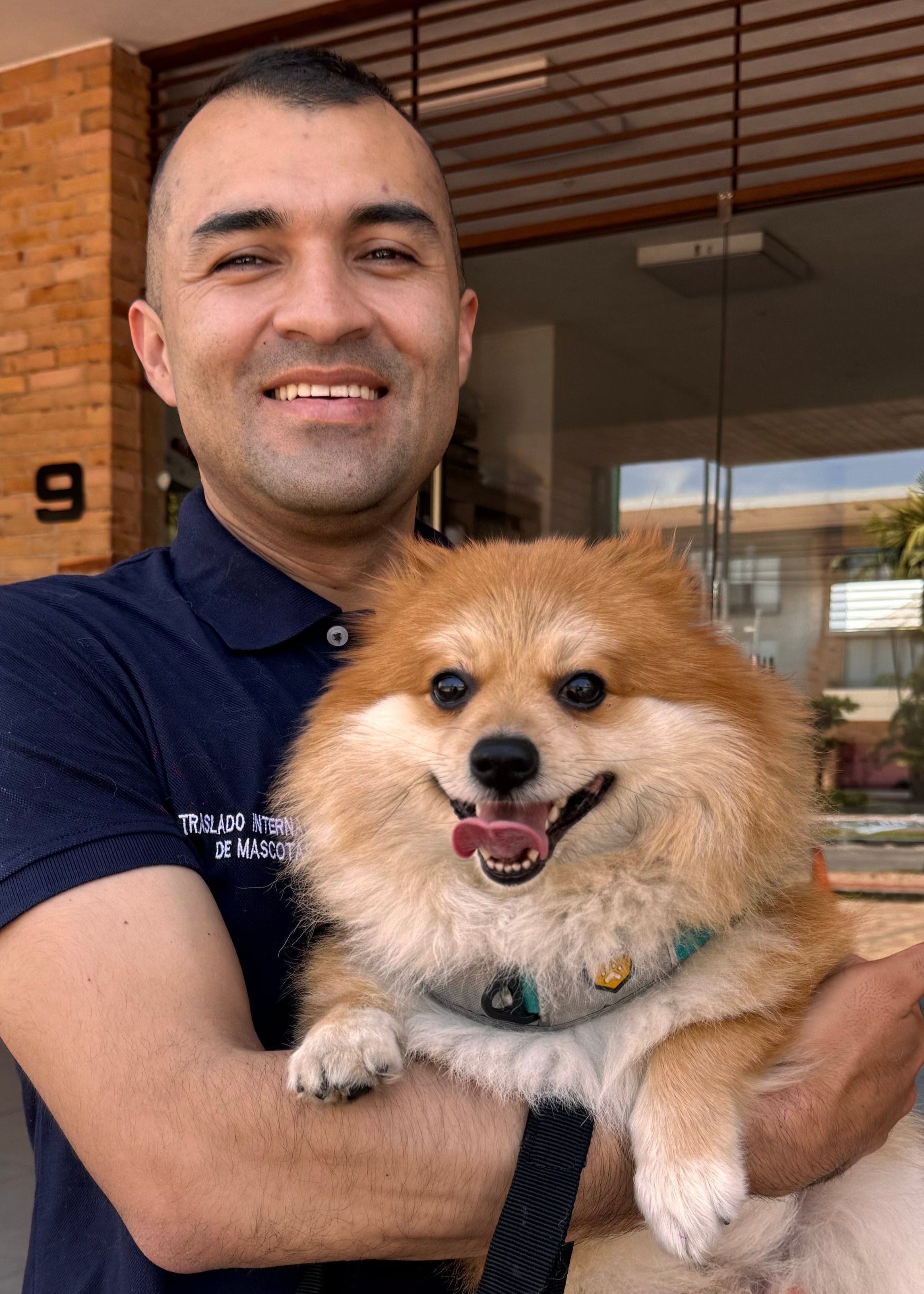VetAirport IPATA certified international pet relocation services door-to-door transport