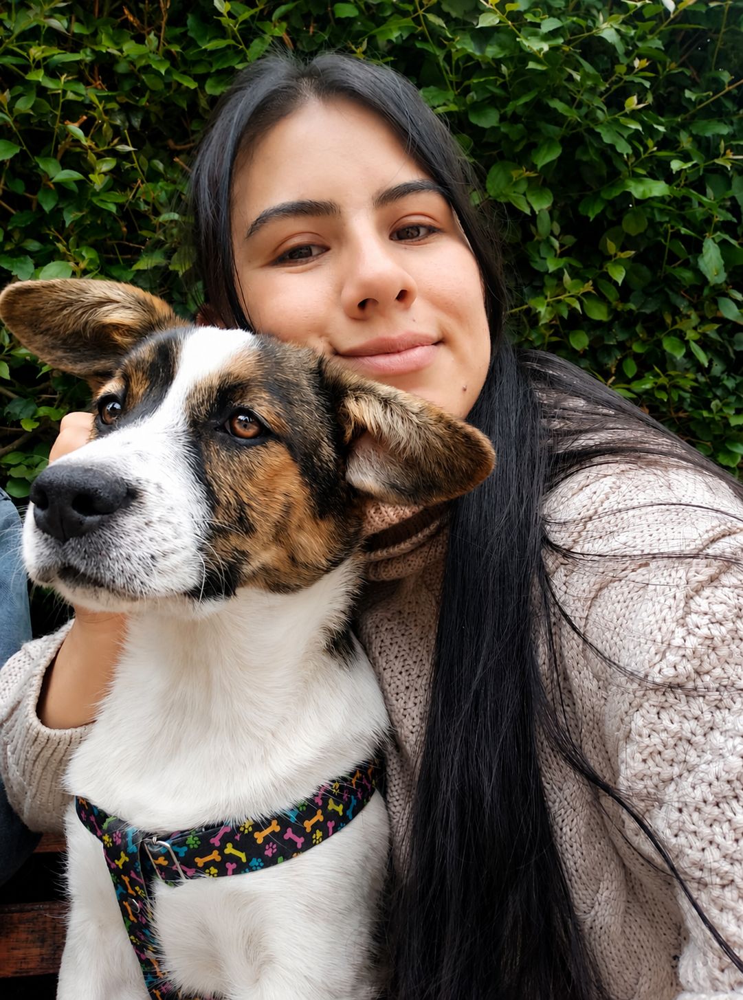 VetAirport IPATA certified international pet relocation services door-to-door transport
